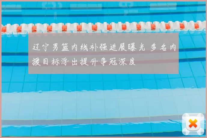 辽宁男篮内线补强进展曝光 多名内援目标浮出提升争冠深度