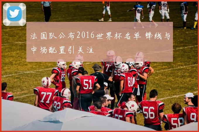 法国队公布2016世界杯名单 锋线与中场配置引关注