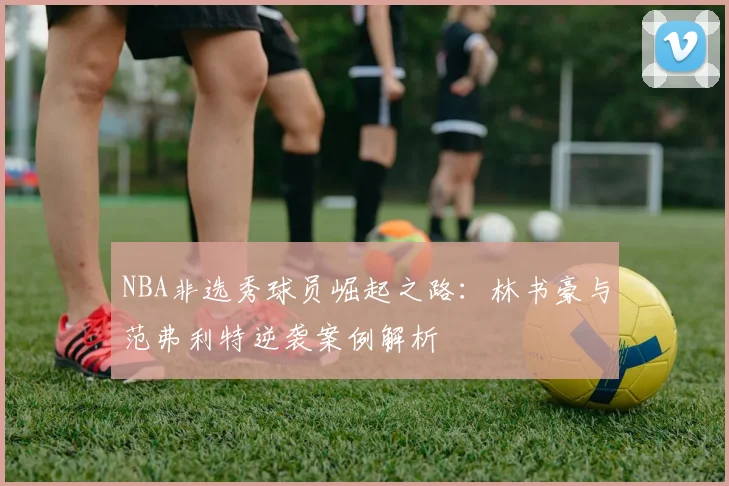 NBA非选秀球员崛起之路：林书豪与范弗利特逆袭案例解析