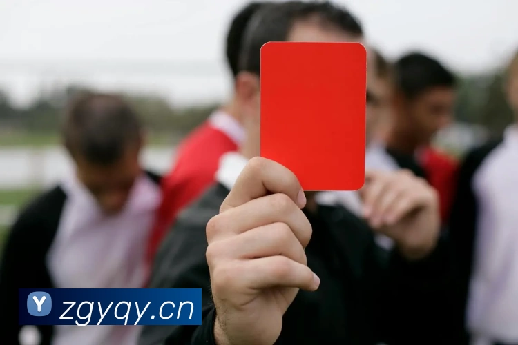 6686 - 最热门的体育足球直播平台 | 6686.com平台生态图